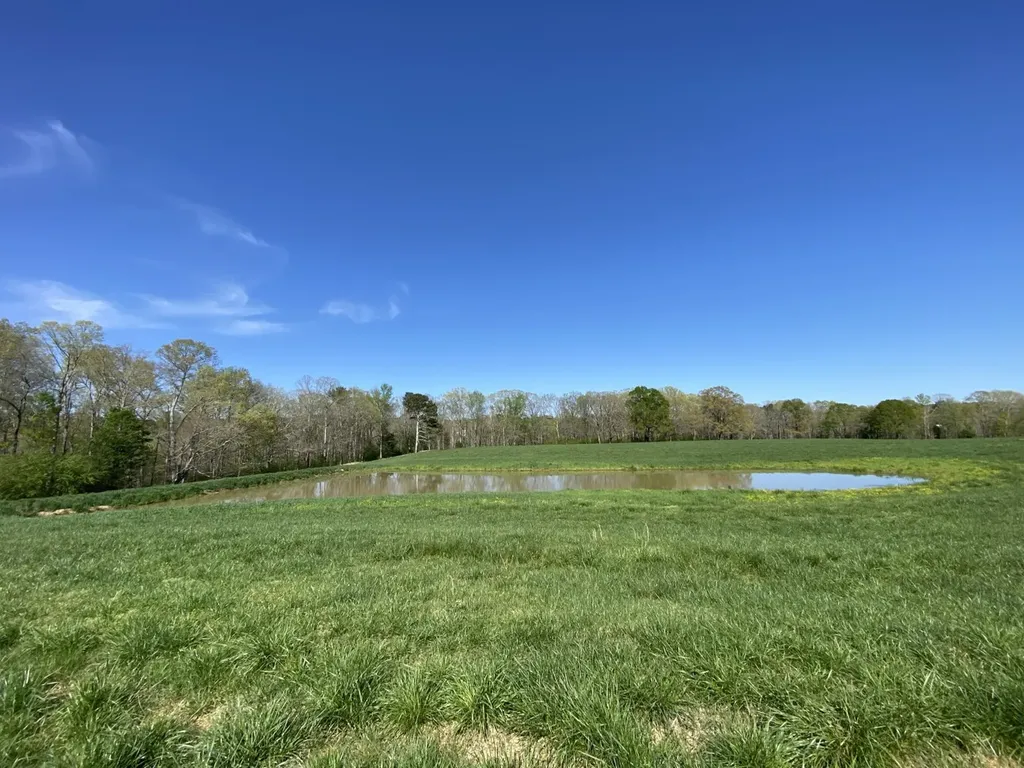 661 Co Road 1171 Cullman AL 35057