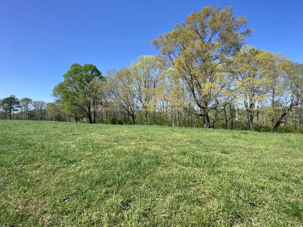 661 Co Road 1171 Cullman AL 35057