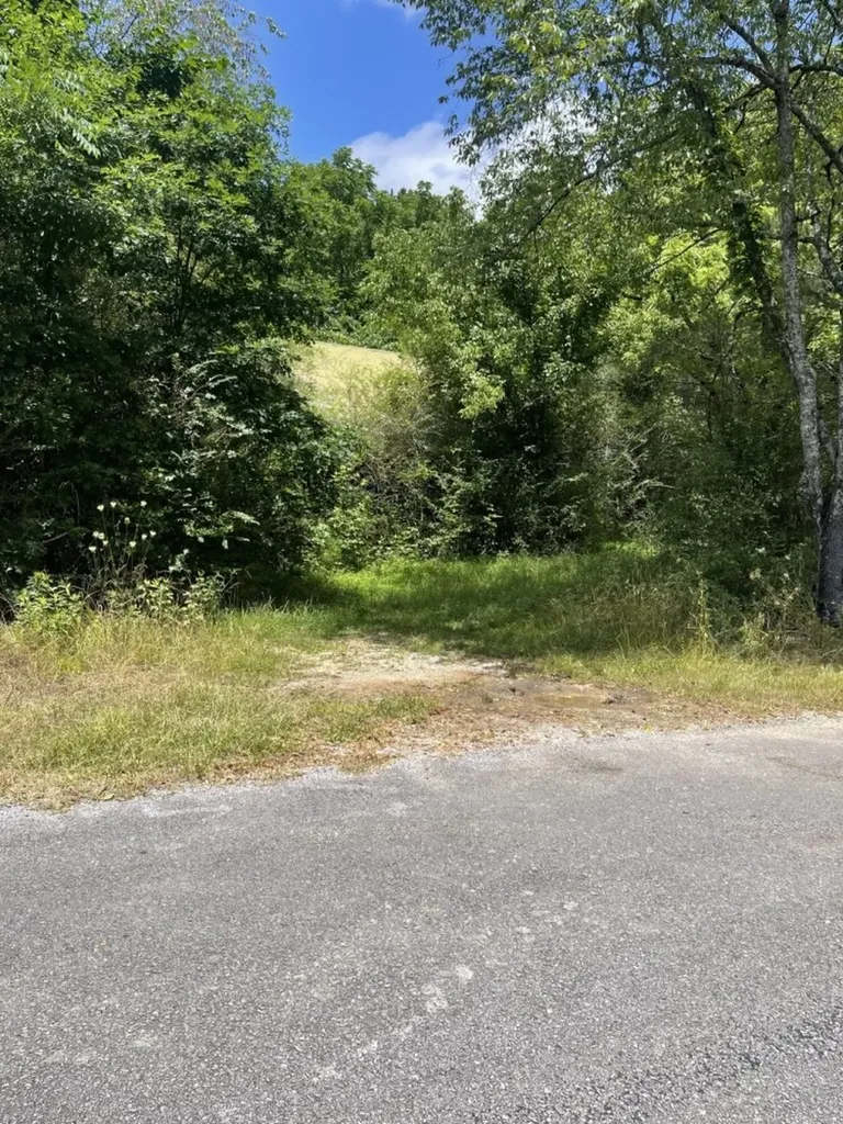 0 County Road 648 Hanceville AL 35077