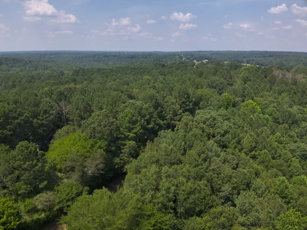 0 County Road 648 Hanceville AL 35077