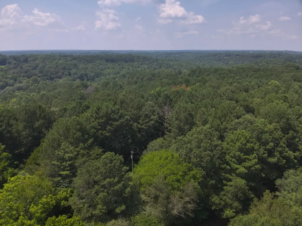 0 County Road 648 Hanceville AL 35077