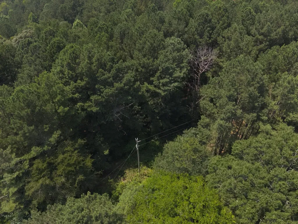 0 County Road 648 Hanceville AL 35077