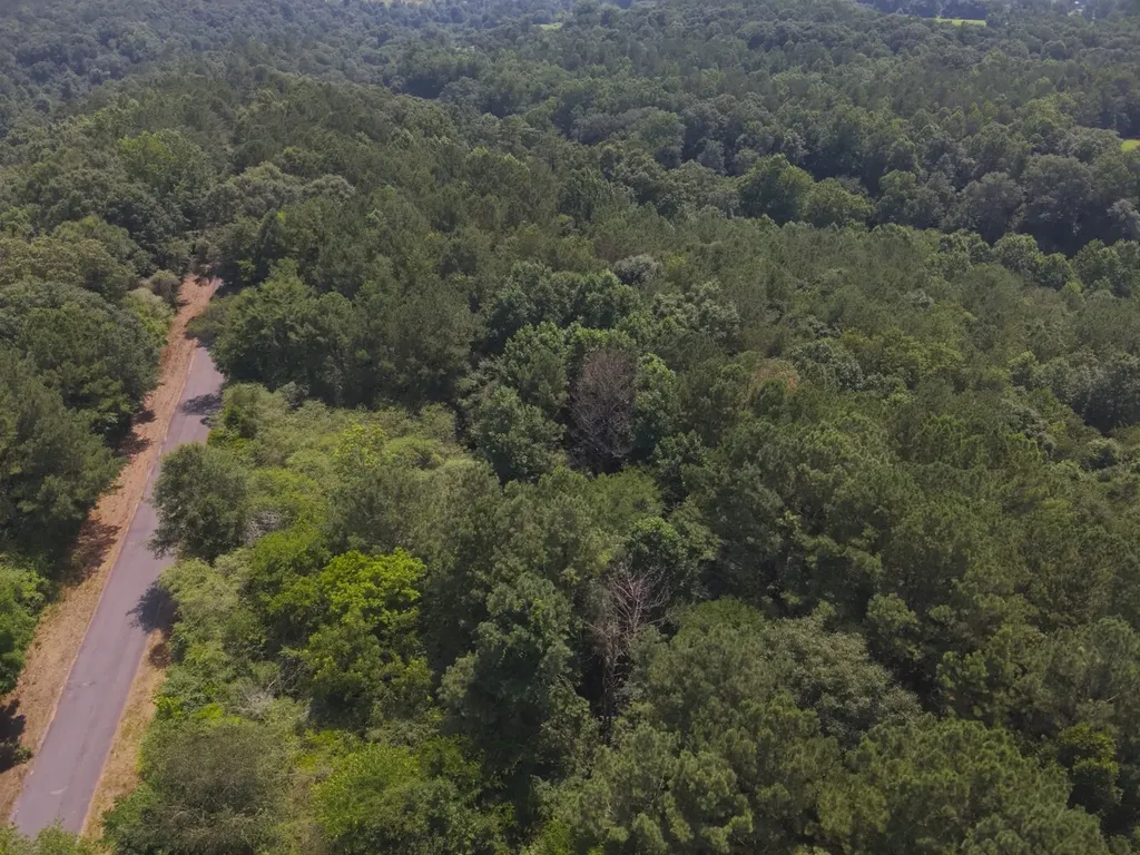 0 County Road 648 Hanceville AL 35077