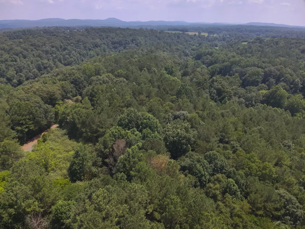 0 County Road 648 Hanceville AL 35077