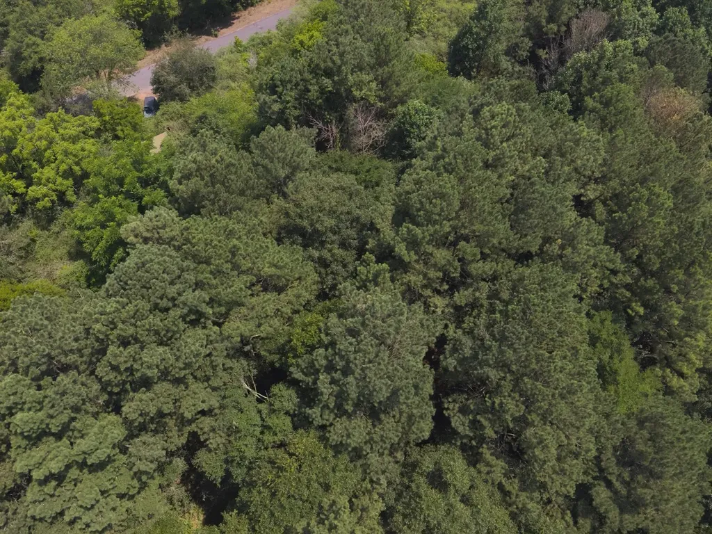 0 County Road 648 Hanceville AL 35077