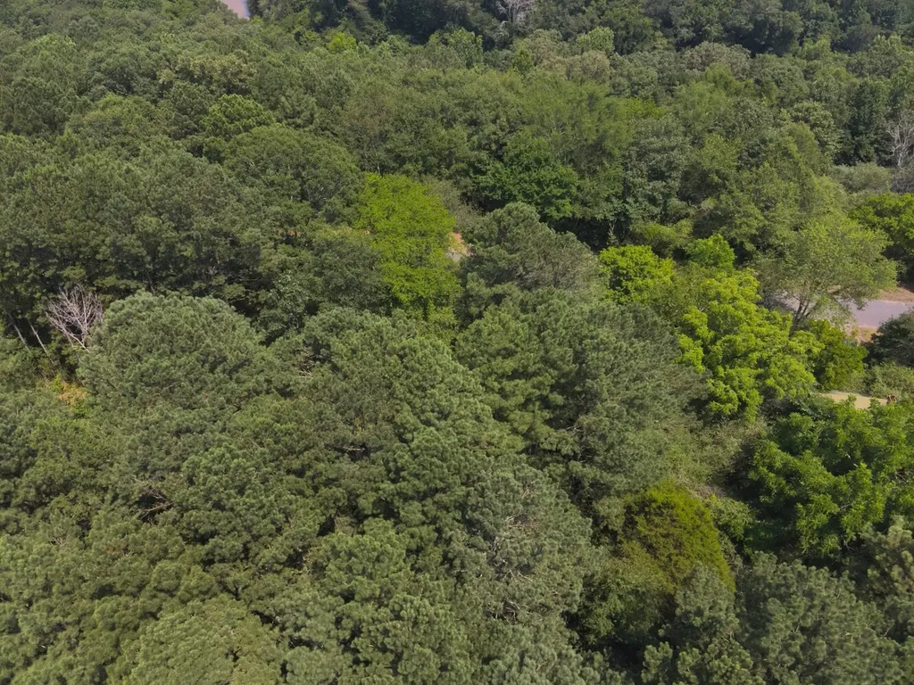 0 County Road 648 Hanceville AL 35077