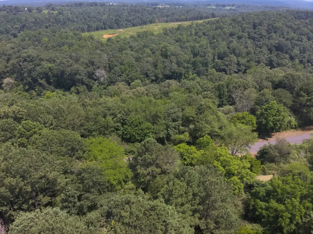 0 County Road 648 Hanceville AL 35077