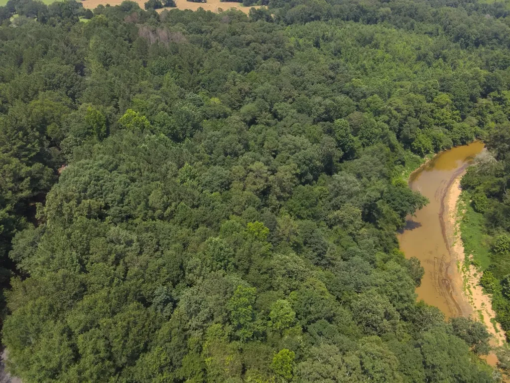 0 County Road 648 Hanceville AL 35077