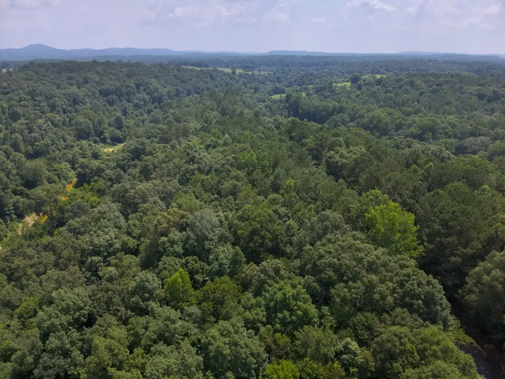 0 County Road 648 Hanceville AL 35077