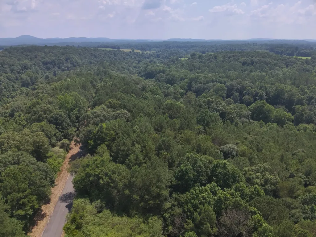 0 County Road 648 Hanceville AL 35077