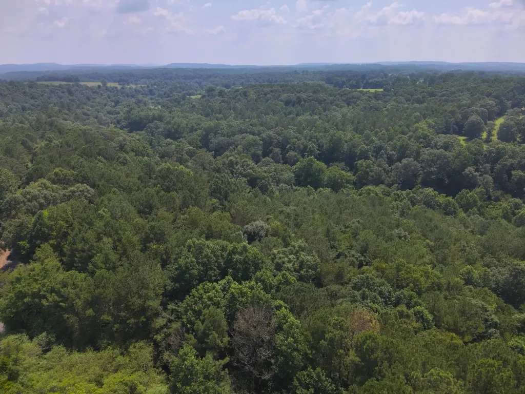 0 County Road 648 Hanceville AL 35077