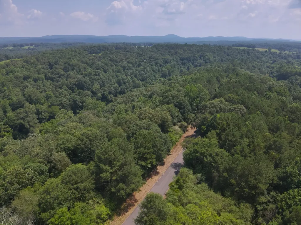 0 County Road 648 Hanceville AL 35077