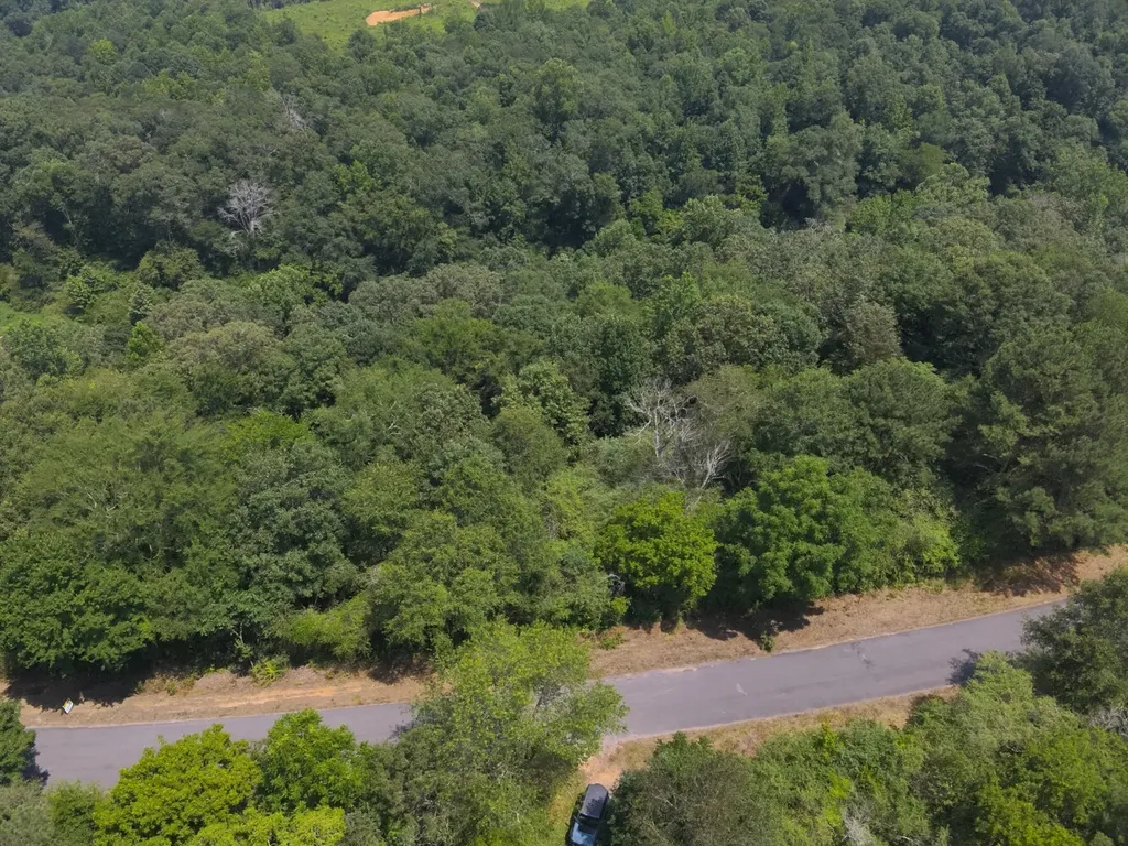 0 County Road 648 Hanceville AL 35077