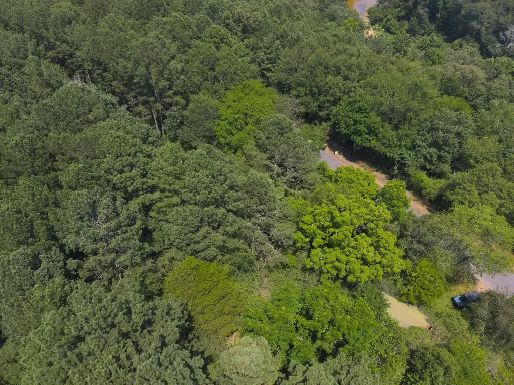 0 County Road 648 Hanceville AL 35077