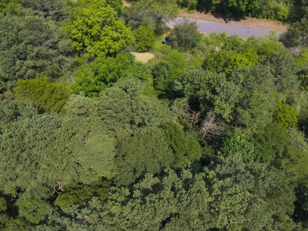 0 County Road 648 Hanceville AL 35077