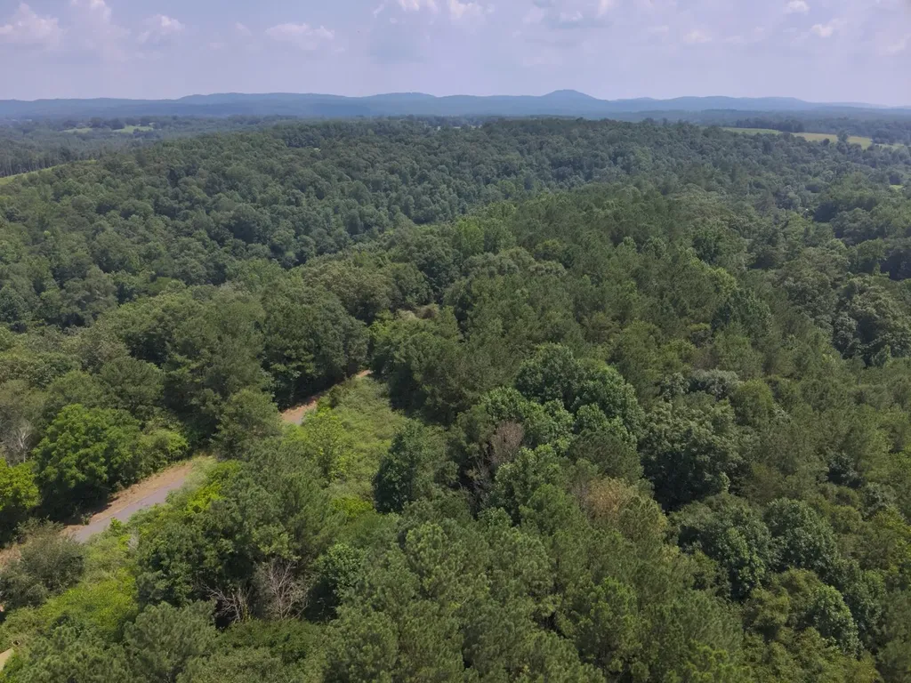 0 County Road 648 Hanceville AL 35077