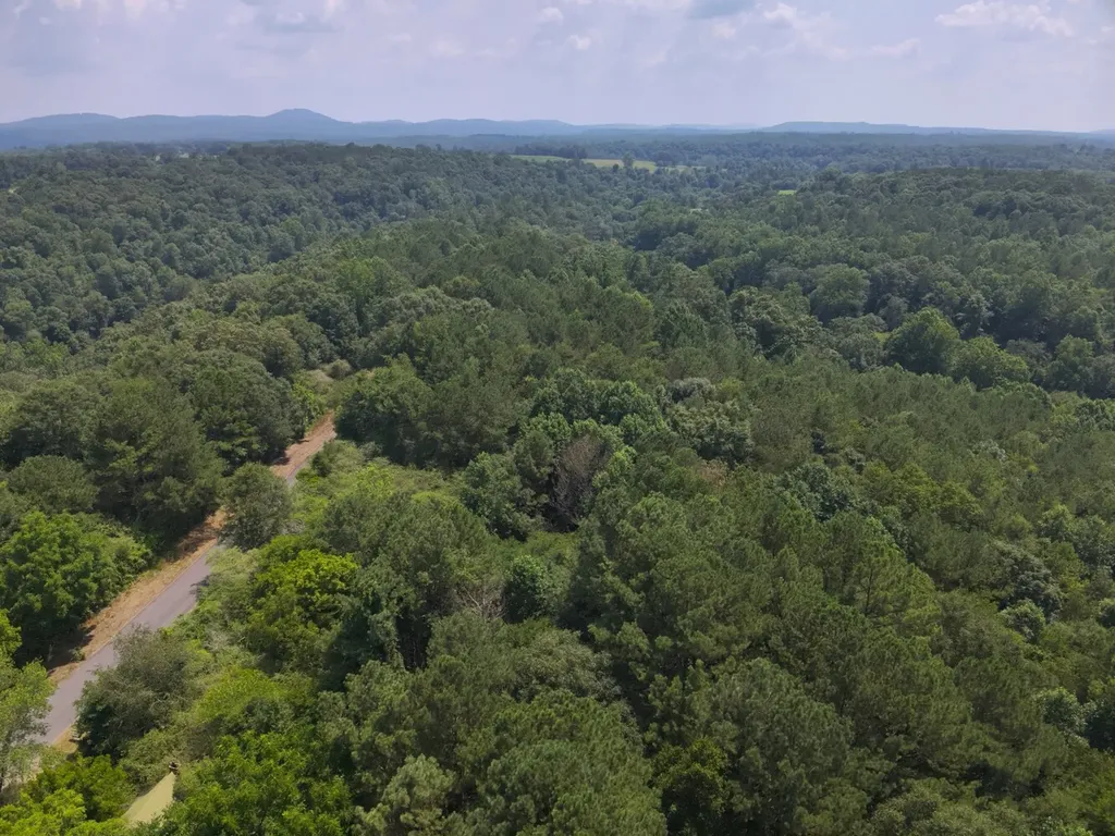 0 County Road 648 Hanceville AL 35077