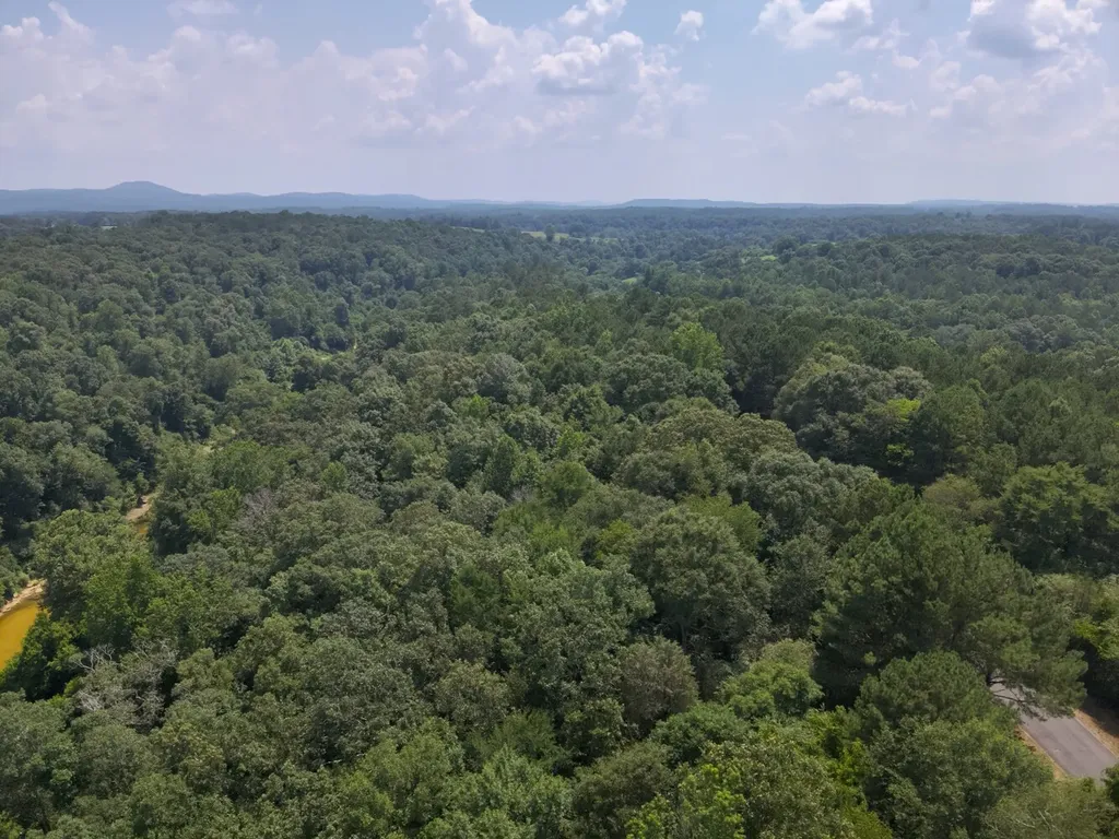 0 County Road 648 Hanceville AL 35077