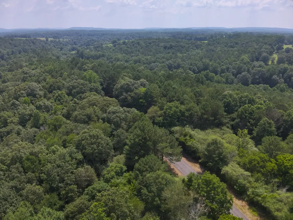 0 County Road 648 Hanceville AL 35077