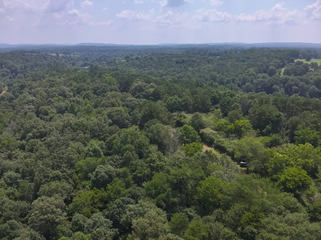 0 County Road 648 Hanceville AL 35077