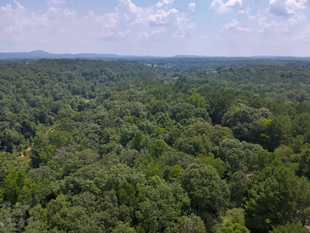 0 County Road 648 Hanceville AL 35077