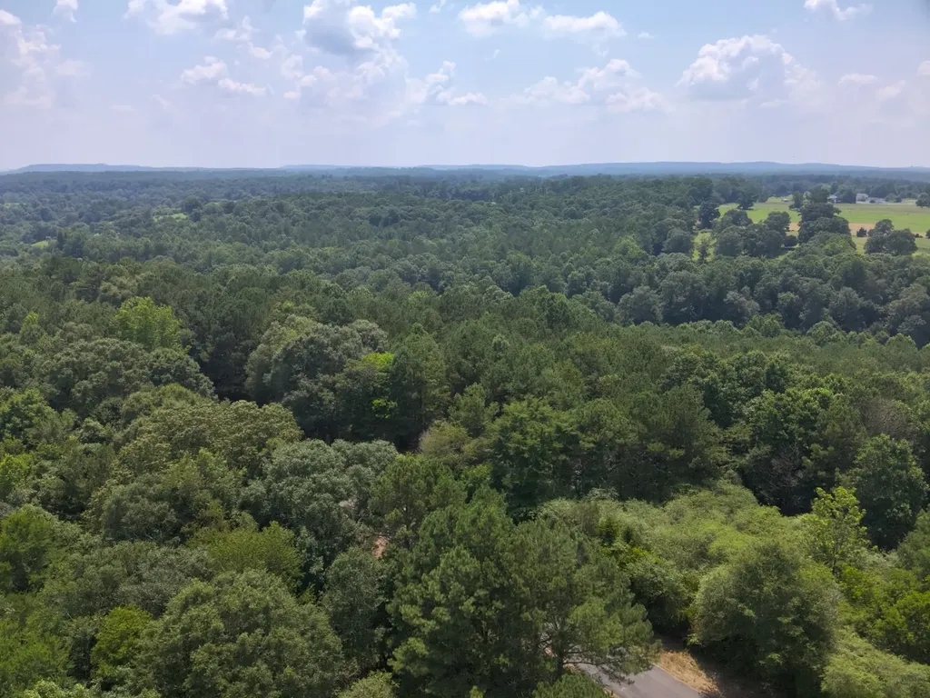 0 County Road 648 Hanceville AL 35077