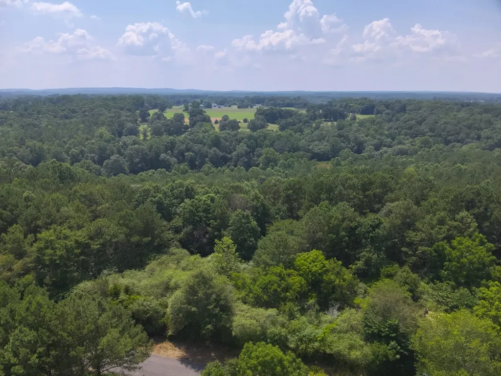 0 County Road 648 Hanceville AL 35077