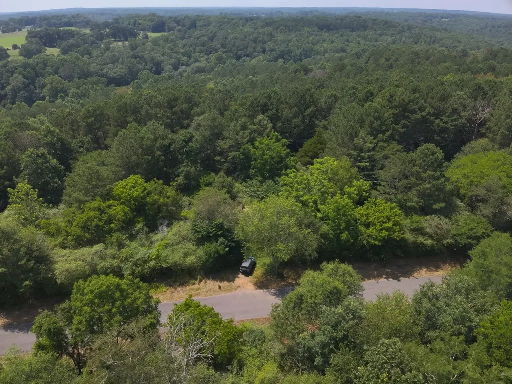 0 County Road 648 Hanceville AL 35077