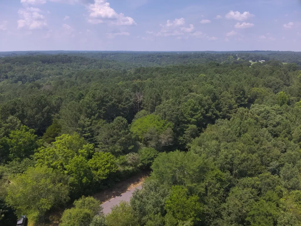 0 County Road 648 Hanceville AL 35077