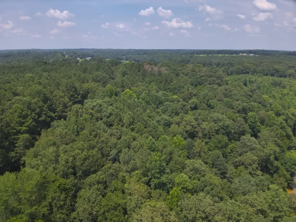 0 County Road 648 Hanceville AL 35077