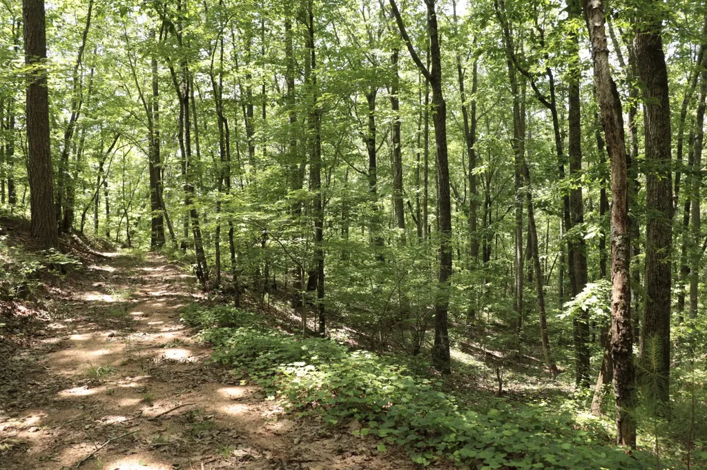 0 Cr-66 Goodwater AL 35072