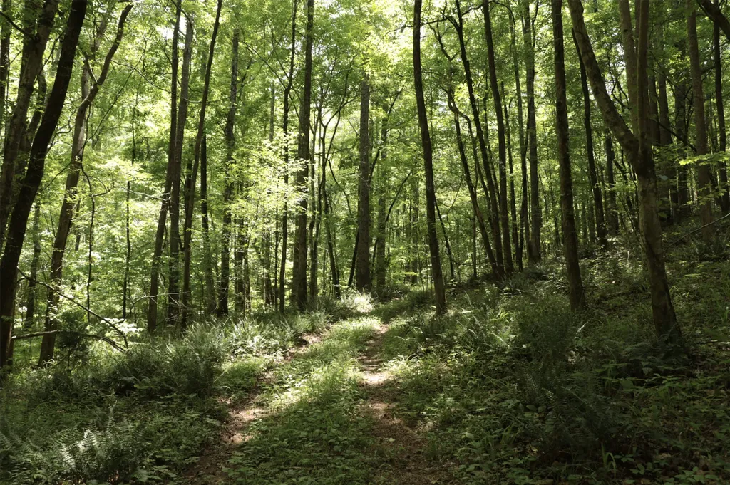 0 Cr-66 Goodwater AL 35072