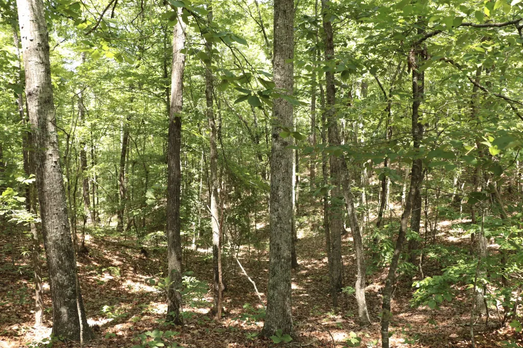 0 Cr-66 Goodwater AL 35072