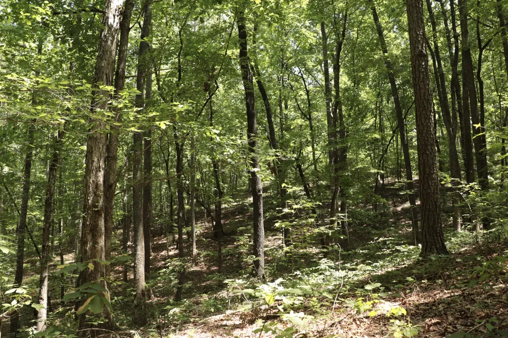 0 Cr-66 Goodwater AL 35072