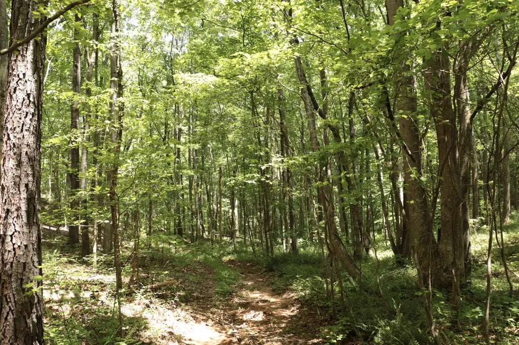 0 Cr-66 Goodwater AL 35072