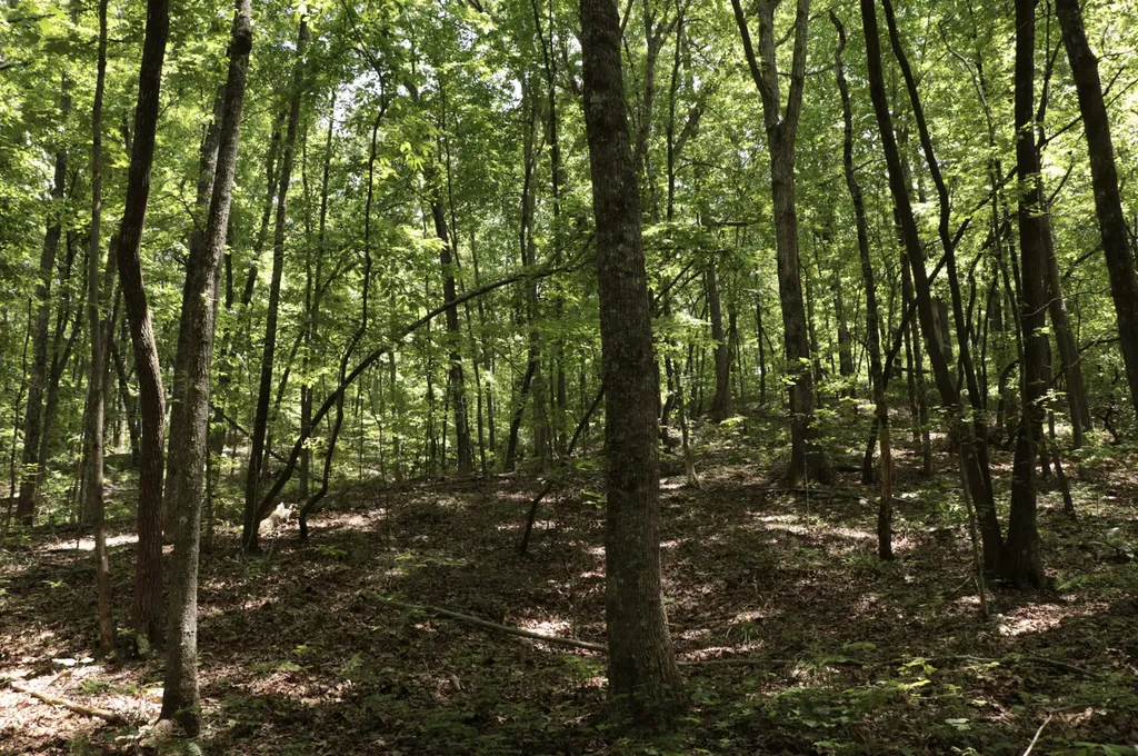 0 Cr-66 Goodwater AL 35072