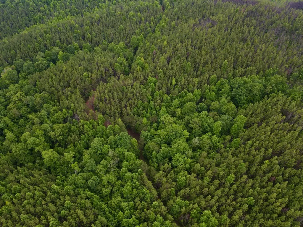 0 Cr 77 Ashland AL 36251