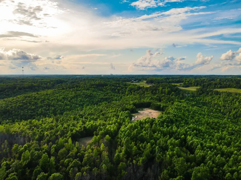 0 Hyde Road Phil Campbell AL 35581