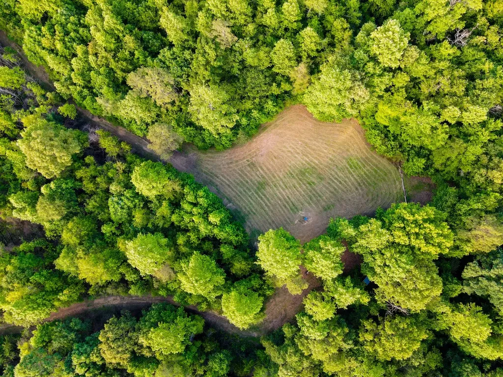 0 Hyde Road Phil Campbell AL 35581