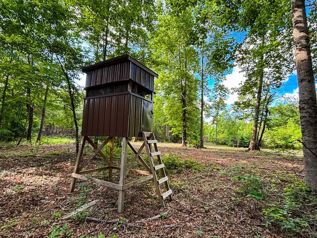 0 Hyde Road Phil Campbell AL 35581