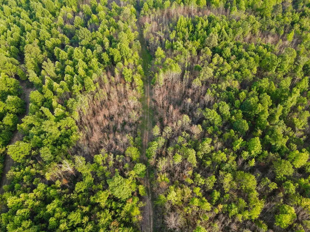 0 Hyde Road Phil Campbell AL 35581