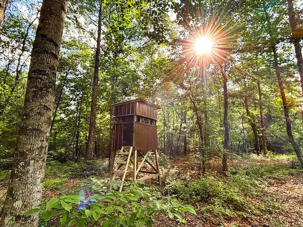 0 Hyde Road Phil Campbell AL 35581