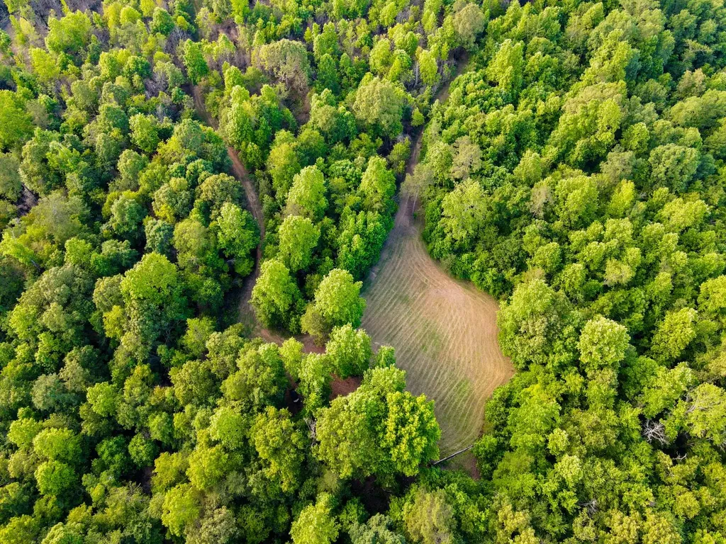 0 Hyde Road Phil Campbell AL 35581