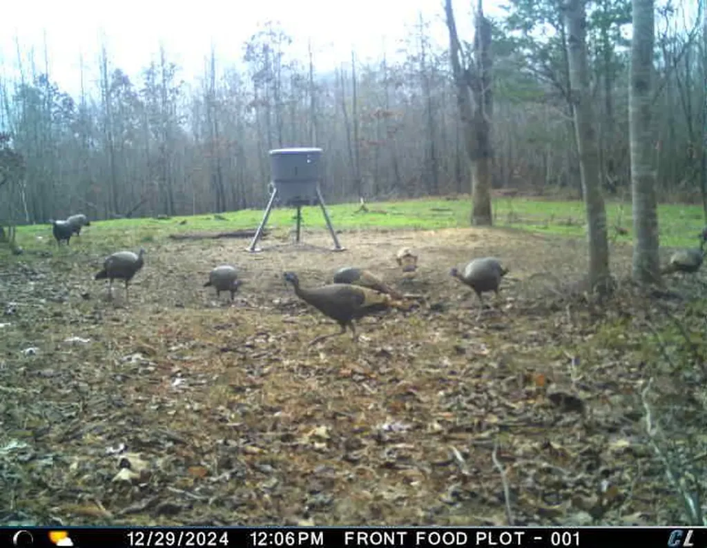 0 Hyde Road Phil Campbell AL 35581