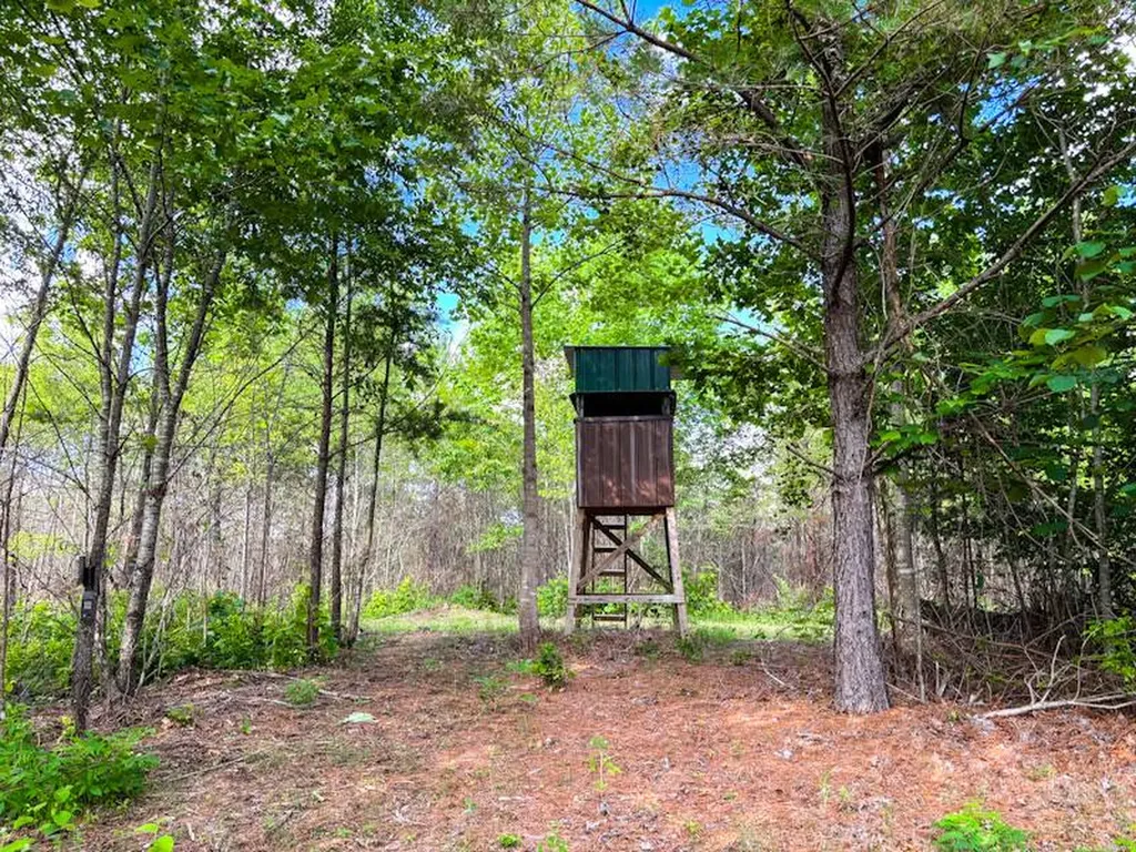 1 Hyde Road Phil Campbell AL 35581