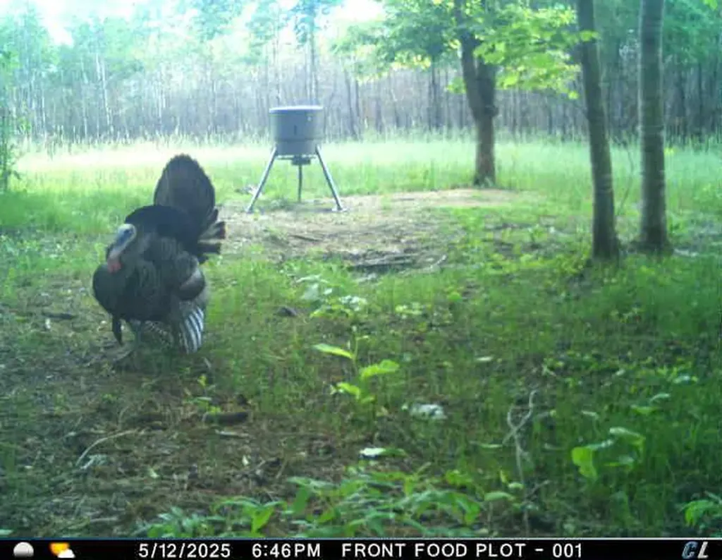 0 Hyde Road Phil Campbell AL 35581