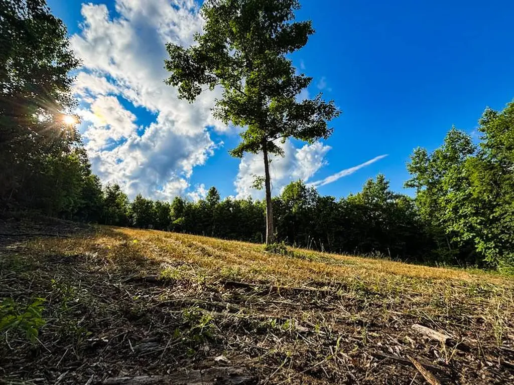 0 Hyde Road Phil Campbell AL 35581