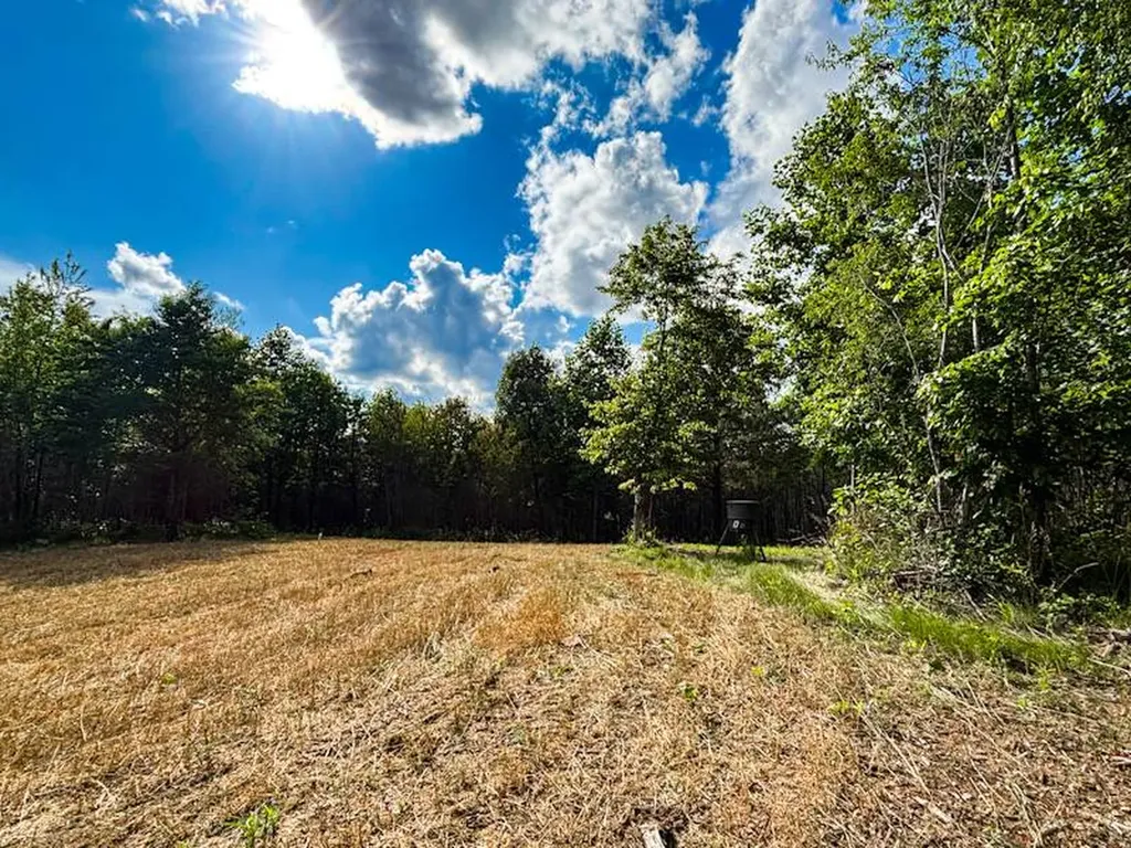 1 Hyde Road Phil Campbell AL 35581