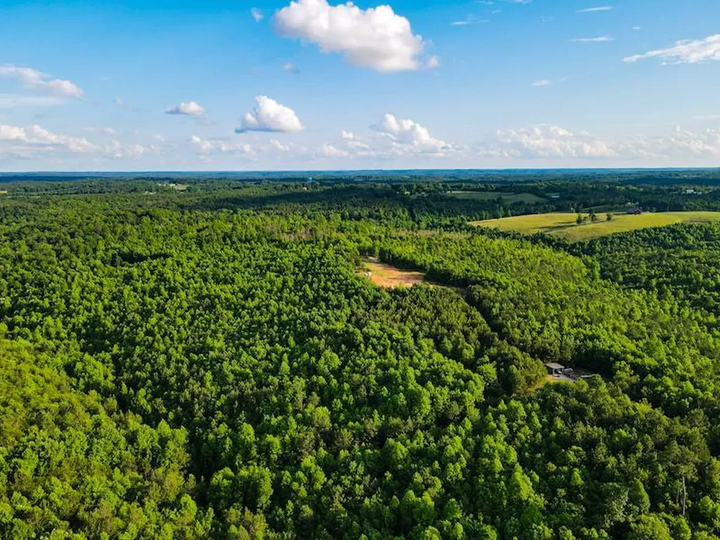 1 Hyde Road Phil Campbell AL 35581