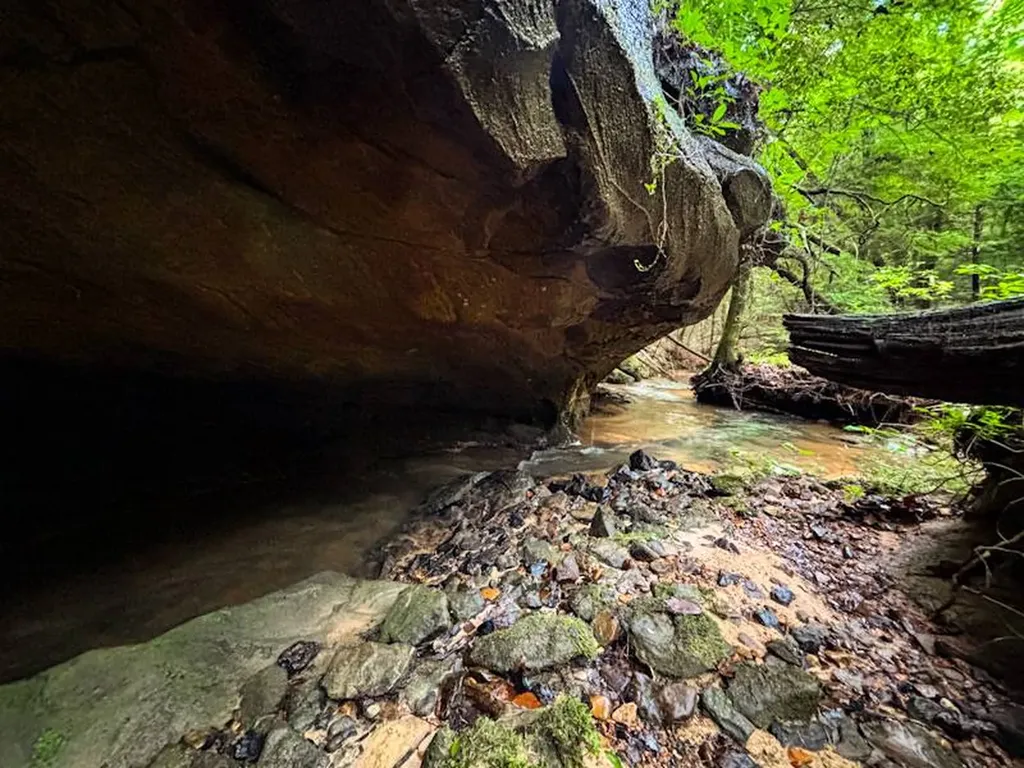 0 Hyde Road Phil Campbell AL 35581